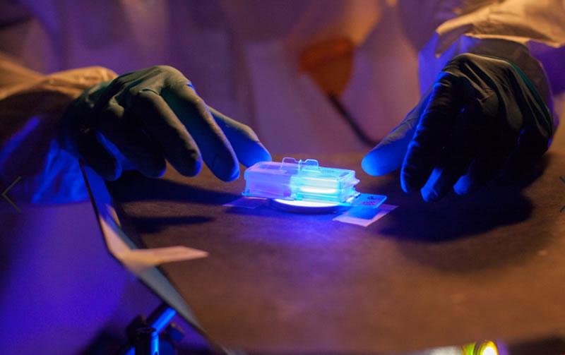 發表“通過使用熒光光能誘導熒光生物調節來管理傷口愈合的所有三個階段”