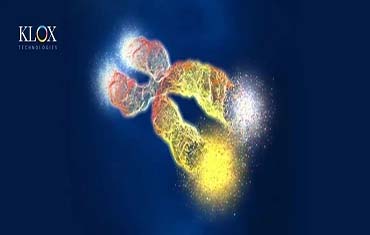 科洛克引領(lǐng)細(xì)胞抗衰新模式 | 釋放端粒酶高效作用技術(shù)